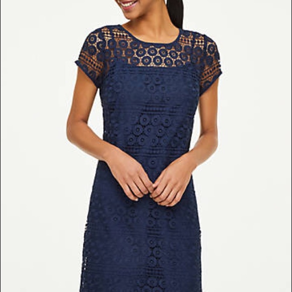 Loft Lace Style Dress in Navy size 8 NWT